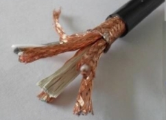 ZRA-DJYPVPR-2*2*1.5阻燃型DCS系統(tǒng)用計(jì)算機(jī)屏蔽電纜