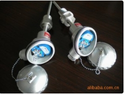 WZPB-230固定螺紋式帶溫度變送器熱電阻