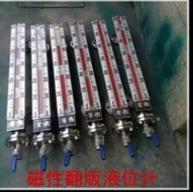 安徽天康TKUHZ/50/C/UB磁翻板遠(yuǎn)傳式液位計(jì)