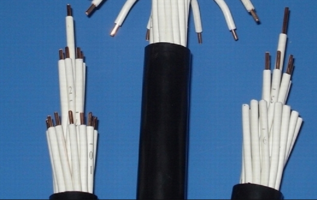 阻燃型氟塑料絕緣和護(hù)套耐高溫屏蔽控制電纜KFFP-12*1.0